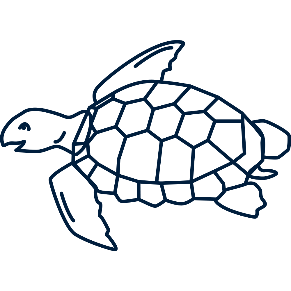 turtle-blue